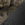 Realtree Timber/ Black