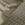 Mossy Oak Bottomland/ Loden