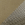 Pale Khaki/ Loden