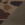 Bark Duck Camo/ Brown