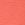 Coral Splash