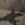 Black Ink Camo