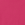 Flush Pink