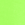 Neon Green