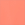 Coral Splash