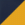 True Navy/ Gold