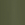 Forest Moss
