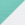 Flag Mint/ White