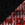 Black/ Scarlet