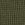 Burnt Olive Green