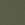 Medium Olive