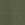 Medium Olive