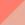 Coral/ Soft Coral