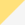 Sunflower Yellow/ White