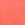 Neon Coral