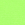 Neon Green +$0.34