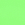 Neon Green +$0.42