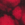 Black/ Red
