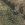 Mossy Oak DNA/ Khaki