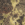 Mossy Oak New Break Up/ Deep Black
