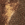 Realtree Edge/ Brown
