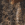 Realtree Edge/ Deep Black