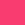 Neon Pink/ White