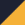 True Navy/ Gold