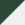 Forest Green/ White