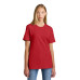 American Apparel  Fine Jersey Unisex T-Shirt 2001