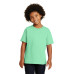 Gildan - Youth  Heavy Cotton 100% Cotton T-Shirt.  5000B