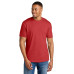 Gildan Softstyle CVC Tee 64000CVC Gildan Softstyle CVC Tee 64000CVC