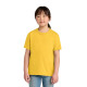 Gildan® Youth Softstyle® Midweight Tee 65000B