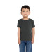 BELLA+CANVAS® Toddler Short Sleeve Tee BC3001T