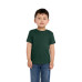 BELLA+CANVAS® Toddler Short Sleeve Tee BC3001T