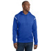 Sport-Tek Tech Fleece Colorblock Hooded Sweatshirt. F246