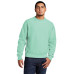 Champion  Reverse Weave  Garment-Dyed Crewneck Sweatshirt. GDS149