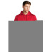 Sport-Tek  Sport-Wick  Fleece Short Sleeve Hooded Pullover. ST251